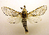  ( - MM19177)  @14 [ ] Unspecified (default): All Rights Reserved  Unspecified Unspecified