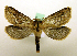  ( - MM19180)  @13 [ ] Unspecified (default): All Rights Reserved  Unspecified Unspecified