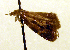  ( - MM19184)  @13 [ ] Unspecified (default): All Rights Reserved  Unspecified Unspecified