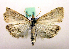  ( - MM19186)  @14 [ ] Unspecified (default): All Rights Reserved  Unspecified Unspecified