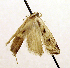  ( - MM19190)  @11 [ ] Unspecified (default): All Rights Reserved  Unspecified Unspecified