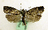  ( - MM19270)  @13 [ ] No Rights Reserved (2010) Marko Mutanen University of Oulu