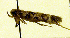  ( - MM19286)  @12 [ ] No Rights Reserved (2010) Marko Mutanen University of Oulu