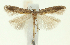  ( - TLMF Lep 24926)  @11 [ ] CreativeCommons - Attribution Non-Commercial Share-Alike (2017) Peter Buchner Tiroler Landesmuseum