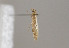  ( - TLMF Lep 25326)  @12 [ ] CreativeCommons - Attribution Non-Commercial Share-Alike (2017) Peter Huemer Tiroler Landesmuseum