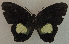  ( - USNM ENT 00643536)  @13 [ ] Unspecified (default): All Rights Reserved  Unspecified Unspecified