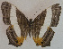  ( - USNM ENT 00643554)  @13 [ ] Unspecified (default): All Rights Reserved  Unspecified Unspecified