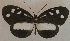  ( - USNM ENT 00645879)  @14 [ ] Unspecified (default): All Rights Reserved  Unspecified Unspecified