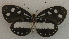  ( - USNM ENT 00645879)  @13 [ ] Unspecified (default): All Rights Reserved  Unspecified Unspecified