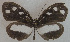  ( - USNM ENT 00645935)  @14 [ ] Unspecified (default): All Rights Reserved  Unspecified Unspecified