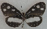  ( - USNM ENT 00645944)  @13 [ ] Unspecified (default): All Rights Reserved  Unspecified Unspecified