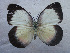  ( - USNM ENT 00645947)  @14 [ ] Unspecified (default): All Rights Reserved  Unspecified Unspecified
