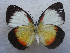  ( - USNM ENT 00645947)  @13 [ ] Unspecified (default): All Rights Reserved  Unspecified Unspecified