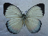  ( - USNM ENT 00645948)  @13 [ ] Unspecified (default): All Rights Reserved  Unspecified Unspecified