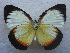  ( - USNM ENT 00645948)  @13 [ ] Unspecified (default): All Rights Reserved  Unspecified Unspecified