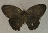  ( - USNM ENT 00649648)  @13 [ ] Unspecified (default): All Rights Reserved  Unspecified Unspecified