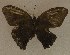  ( - USNM ENT 00649665)  @13 [ ] Unspecified (default): All Rights Reserved  Unspecified Unspecified