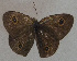  ( - USNM ENT 00649679)  @12 [ ] Unspecified (default): All Rights Reserved  Unspecified Unspecified