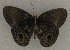  ( - USNM ENT 00649684)  @13 [ ] Unspecified (default): All Rights Reserved  Unspecified Unspecified
