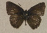  ( - USNM ENT 00705009)  @13 [ ] Unspecified (default): All Rights Reserved  Unspecified Unspecified