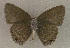  ( - USNM ENT 00705009)  @13 [ ] Unspecified (default): All Rights Reserved  Unspecified Unspecified