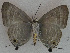  ( - USNM ENT 00705010)  @12 [ ] Unspecified (default): All Rights Reserved  Unspecified Unspecified