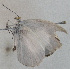  ( - USNM ENT 00705017)  @12 [ ] Unspecified (default): All Rights Reserved  Unspecified Unspecified