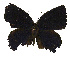  ( - USNM ENT 00705022)  @12 [ ] Unspecified (default): All Rights Reserved  Unspecified Unspecified