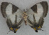  ( - USNM ENT 00705046)  @13 [ ] Unspecified (default): All Rights Reserved  Unspecified Unspecified