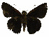 ( - USNM ENT 00705092)  @12 [ ] Unspecified (default): All Rights Reserved  Unspecified Unspecified