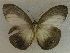  ( - USNM ENT 00705095)  @14 [ ] Unspecified (default): All Rights Reserved  Unspecified Unspecified