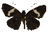  ( - USNM ENT 00705114)  @13 [ ] Unspecified (default): All Rights Reserved  Unspecified Unspecified