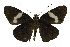 ( - USNM ENT 00705114)  @13 [ ] Unspecified (default): All Rights Reserved  Unspecified Unspecified
