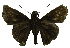  ( - USNM ENT 00705119)  @12 [ ] Unspecified (default): All Rights Reserved  Unspecified Unspecified