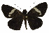  ( - USNM ENT 00705132)  @13 [ ] Unspecified (default): All Rights Reserved  Unspecified Unspecified