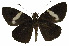  ( - USNM ENT 00705132)  @13 [ ] Unspecified (default): All Rights Reserved  Unspecified Unspecified