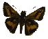  ( - USNM ENT 00705134)  @12 [ ] Unspecified (default): All Rights Reserved  Unspecified Unspecified