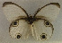  ( - USNM ENT 00705166)  @12 [ ] Unspecified (default): All Rights Reserved  Unspecified Unspecified