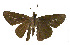  ( - USNM ENT 00705170)  @13 [ ] Unspecified (default): All Rights Reserved  Unspecified Unspecified