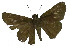  ( - USNM ENT 00705252)  @13 [ ] Unspecified (default): All Rights Reserved  Unspecified Unspecified