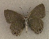  ( - USNM ENT 00711000)  @13 [ ] Unspecified (default): All Rights Reserved  Unspecified Unspecified