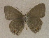  ( - USNM ENT 00711017)  @13 [ ] Unspecified (default): All Rights Reserved  Unspecified Unspecified