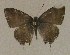  ( - USNM ENT 00711065)  @12 [ ] Unspecified (default): All Rights Reserved  Unspecified Unspecified