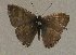  ( - USNM ENT 00711076)  @12 [ ] Unspecified (default): All Rights Reserved  Unspecified Unspecified