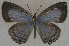  ( - USNM ENT 00711080)  @13 [ ] Unspecified (default): All Rights Reserved  Unspecified Unspecified