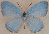  ( - USNM ENT 00711083)  @14 [ ] Unspecified (default): All Rights Reserved  Unspecified Unspecified