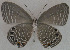 ( - USNM ENT 00711083)  @12 [ ] Unspecified (default): All Rights Reserved  Unspecified Unspecified