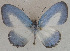  ( - USNM ENT 00711098)  @13 [ ] Unspecified (default): All Rights Reserved  Unspecified Unspecified