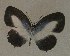  ( - USNM ENT 00711114)  @13 [ ] Unspecified (default): All Rights Reserved  Unspecified Unspecified
