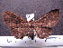  (Zale spAS2 - MMZ0080)  @13 [ ] Copyright (2010) Unspecified Universidade Federal do Parana